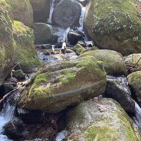 Eventhaus Wiedenfelsen Bühlertal