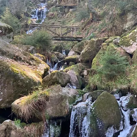 Eventhaus Wiedenfelsen * Buhlertal